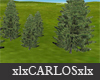 xlx Pine trees