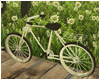 Riverland: Bicycle
