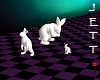 Wonderland White Rabbit