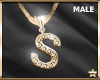 SF| Letter "S" Necklace