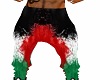 WS* Palestinian Pants