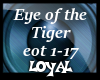 eye of the tiger remix