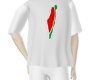 🍉 Free Palestine