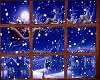 (Dav)ChrismasWindow