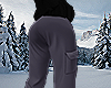 SKI PANTS V1