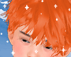 Jake Ginger