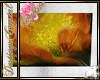 Frame flower sauvage,