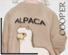 !A alpaca sweatshirt