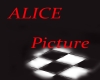 Alice picture