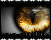 *L iFeline | Brown