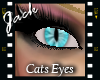 Cats Eyes Blue