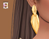 HS e Earrings Moara