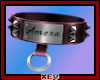Amora's collar.