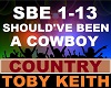 Toby Keith - Should've