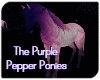 Dj Light Purple Ponies