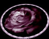 Illuminated Rose Rmance