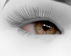 Sexy Honey Eyes