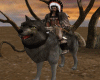 Native Warrior Wolf