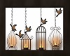 xH Candle Bird Cage