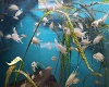 frame wall fish ~CJ~