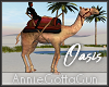 Oasis Riding Camel