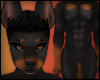 G|Doberman Fur M V1