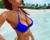 blue bikini top/bra