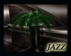 Jazzie-Sauve Palm
