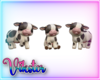 cute moo cows