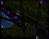 [ purple pool ] palms