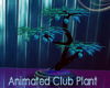 Animated Club plant