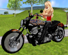 Tigeress Harley Davidson