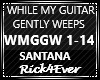 WHILE MY GUITAR GENTLY W