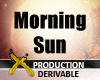 [X] Morning Sun Hair