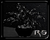 ~RS~DarkGlamor Plant