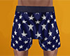 USA Pajama Shorts 1 (M)