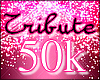 Tribute the Princess 50k