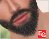 N1 Beard V2