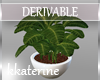 [kk] DERIV. Pot Plant