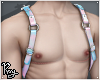 Trans Pride Harness