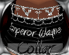 Custom Collar Wayne