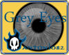 Grey Eyes (m)