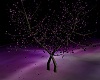 purple rain tree
