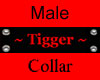 Tigger - Male Collar