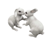 Easter Love  Bunny