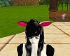 Cow Ears Black/White