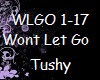 Rascal Flatts Wont LetGo