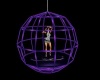 Purple  cage Dance