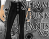 SG Steampunk Pants v5