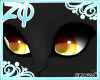Zhaw | Eyes <